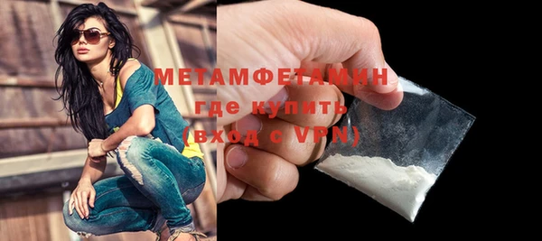 сатива Балахна