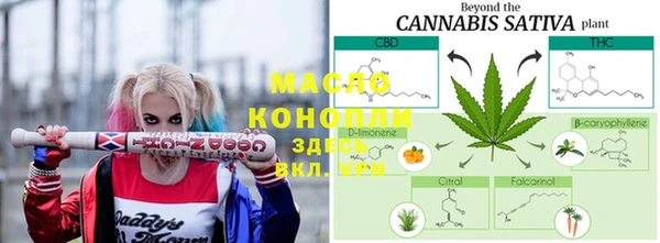 сатива Балахна