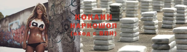 сатива Балахна
