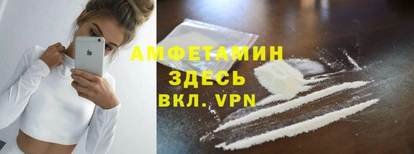 сатива Балахна