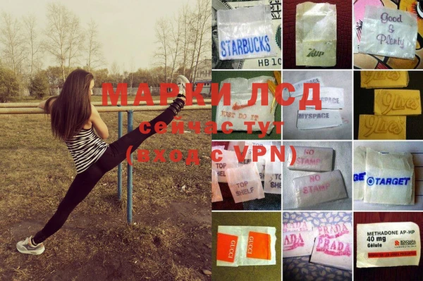 сатива Балахна