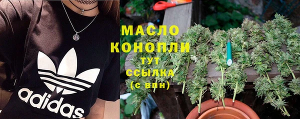 сатива Балахна