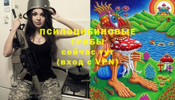 сатива Балахна