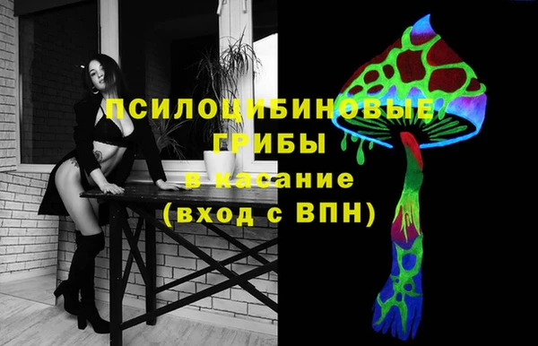 сатива Балахна