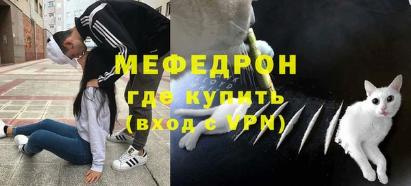 сатива Балахна