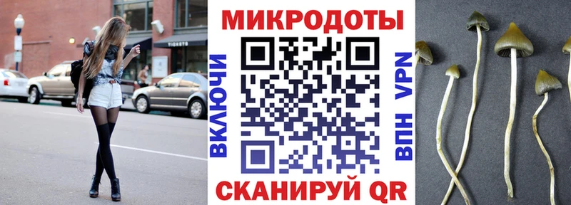 Купить закладки  Ефремов  Галлюциногенные грибы GOLDEN TEACHER 